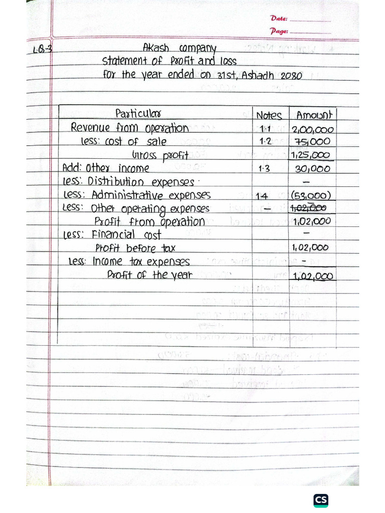 FINANCIAL STATEMENT | PDF
