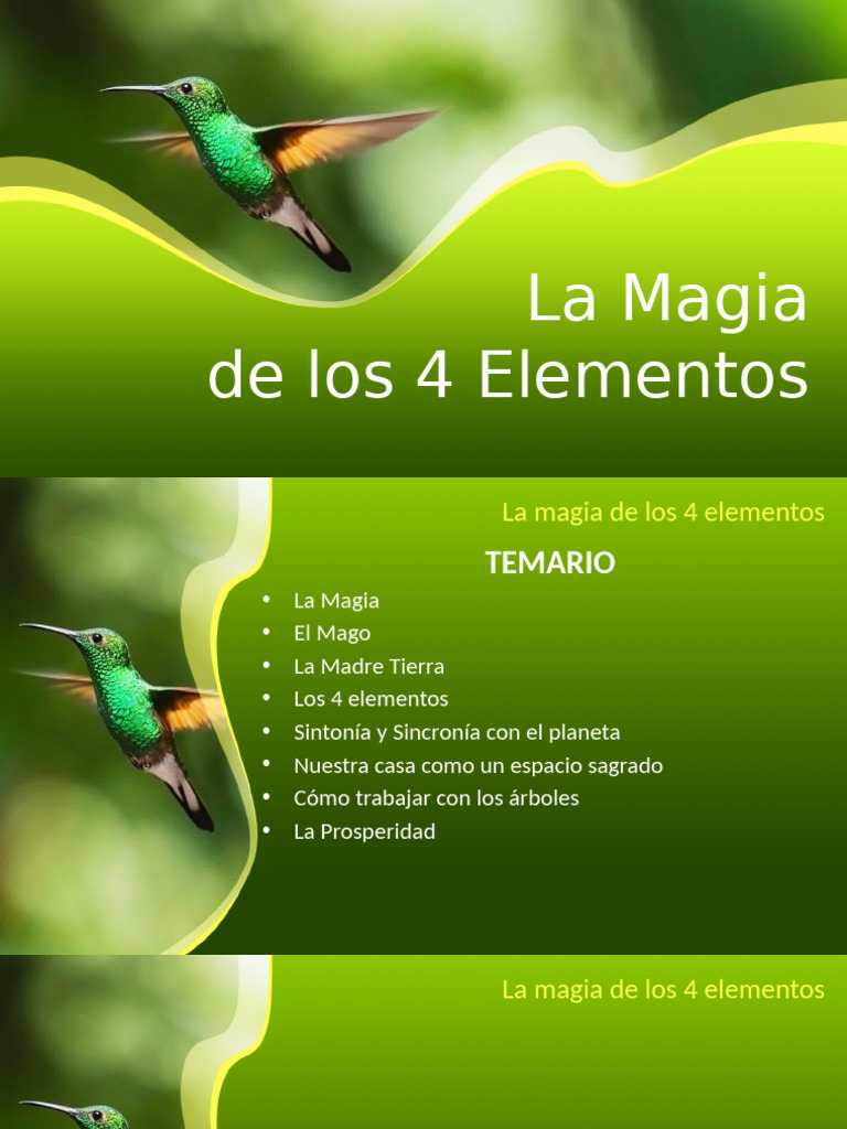 Seminario Magia 4 Elementos | PDF | Arboles | Madre de Dios