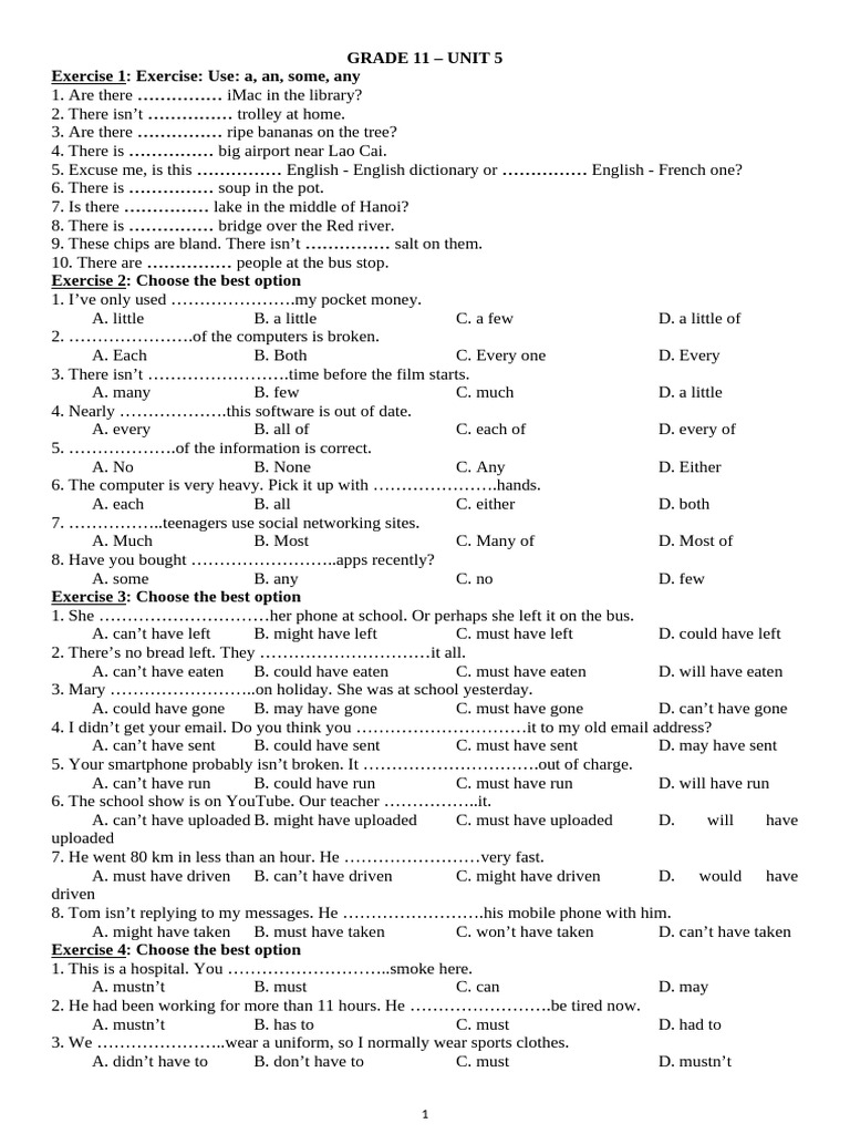 Grade 11 English Exercises: Articles & Modals | PDF