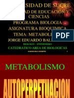 Metabolismo 2008