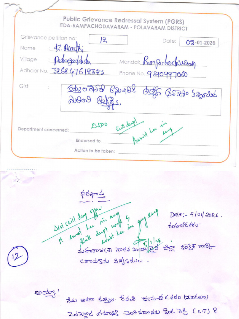 Public Grievance Redressal System Guide | PDF