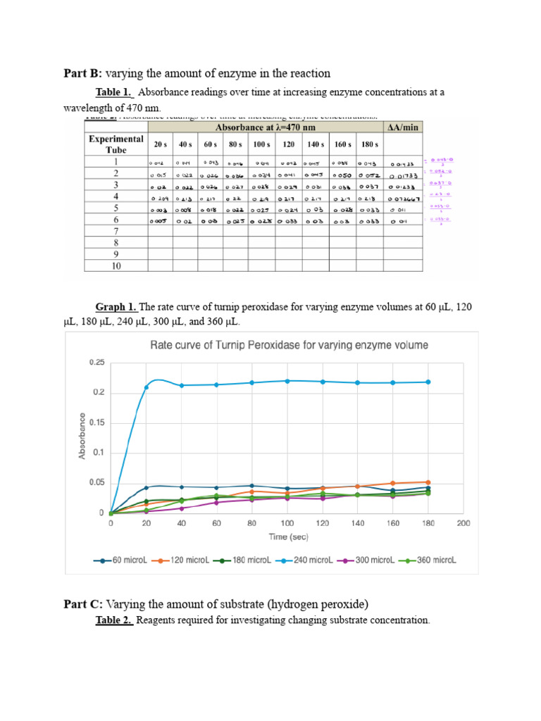 Enzyme and Substrate Concentration Effects | PDF
