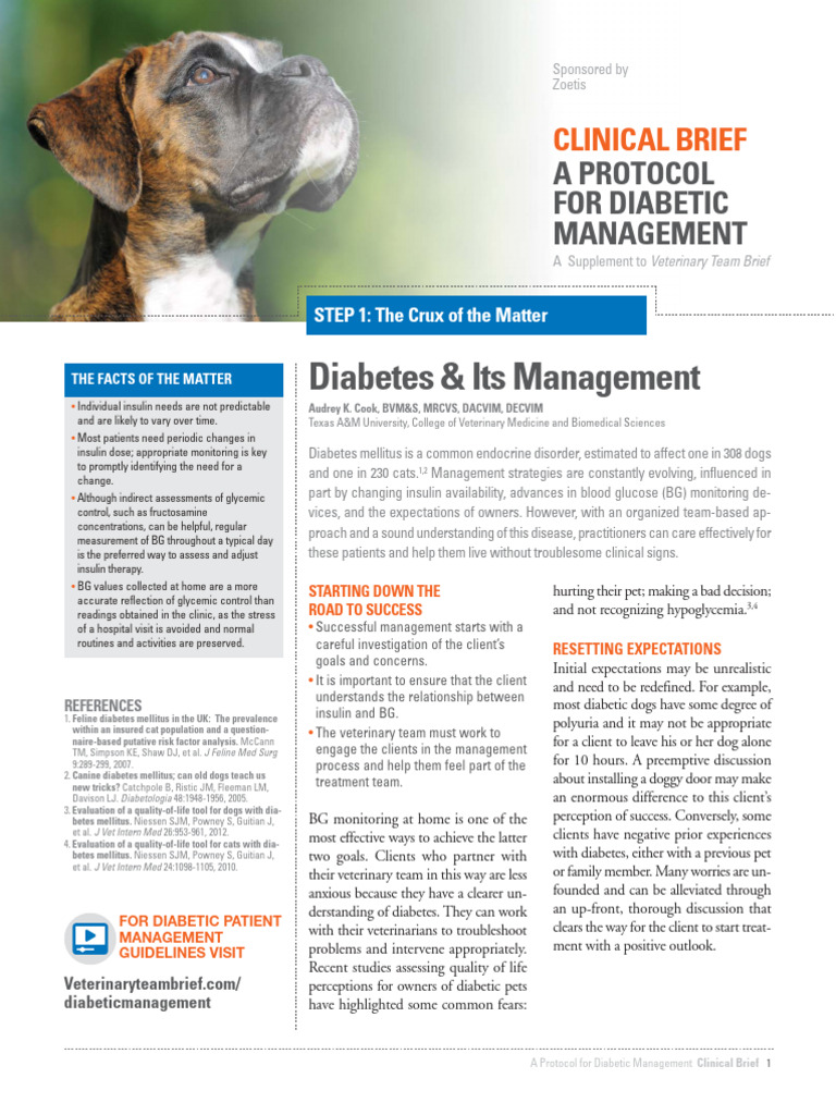 Diabetic Management Protocol for Pets | PDF | Diabetes Management ...