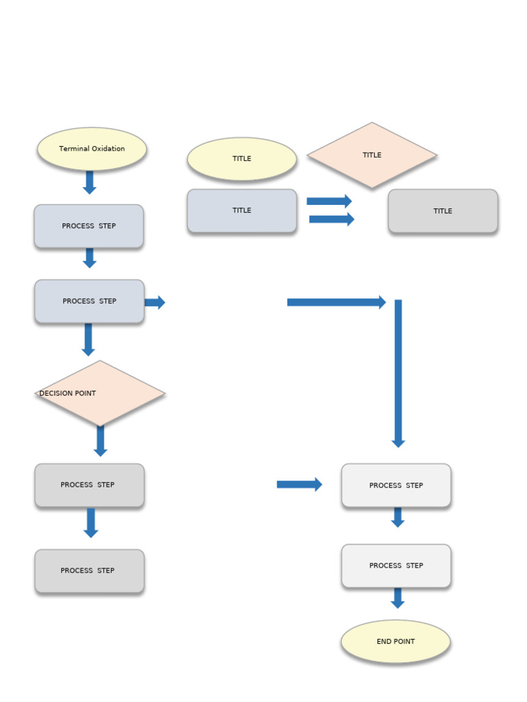 IC Microsoft Word Basic Flowchart Template 12077 WORD | PDF