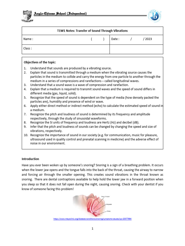 Understanding Sound Waves and Vibrations | PDF | Sound | Frequency