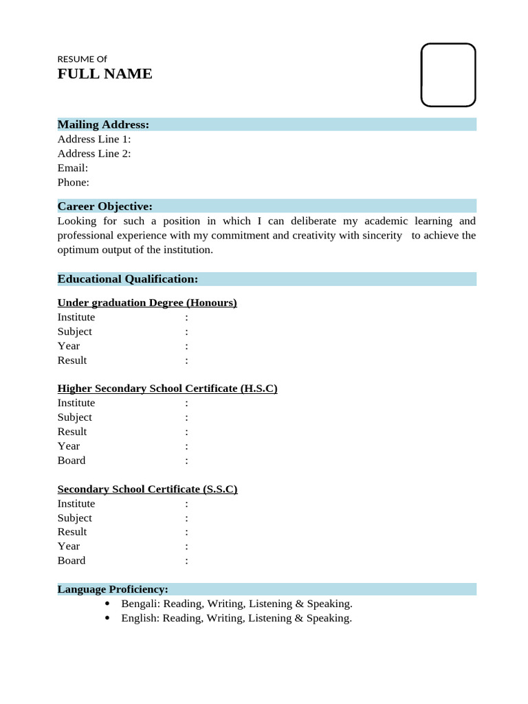 Professional Resume Template | PDF