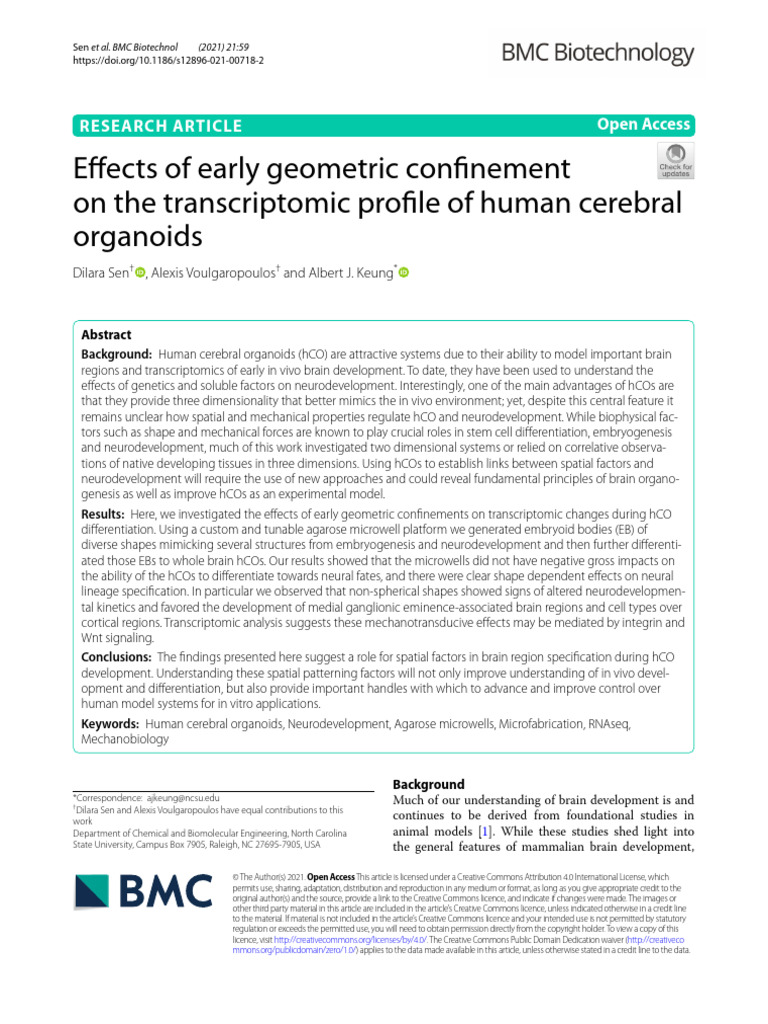 Effects of Early Geometric Confinement On TH | PDF | Cellular ...