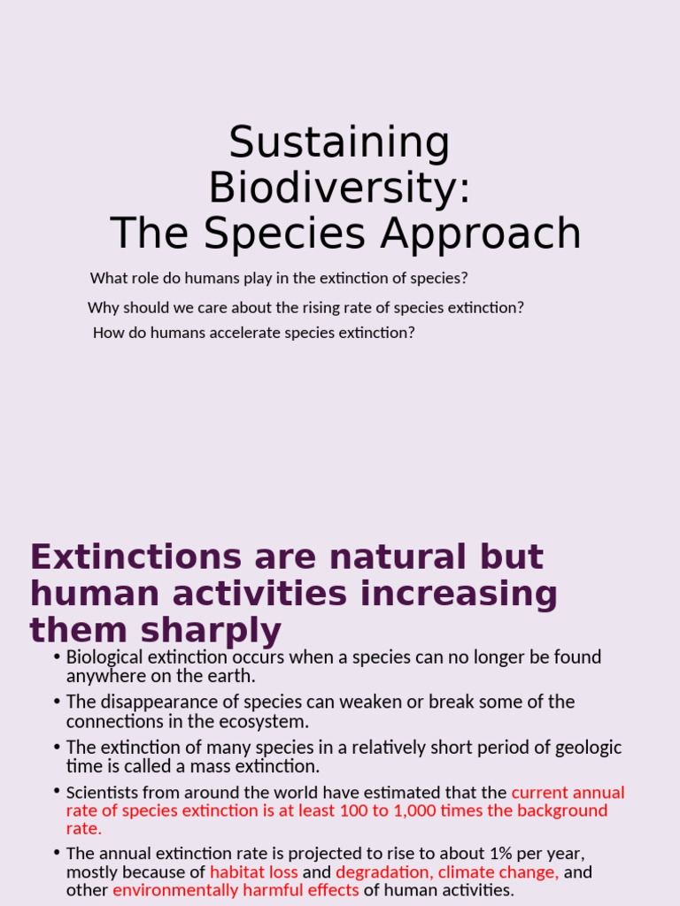 Human Impact on Species Extinction | PDF | Extinction | Biodiversity