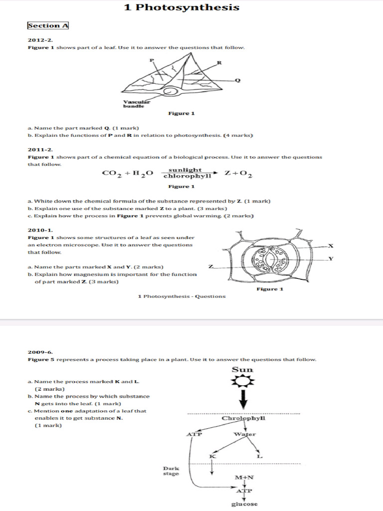 Bio Model Pdfs | PDF