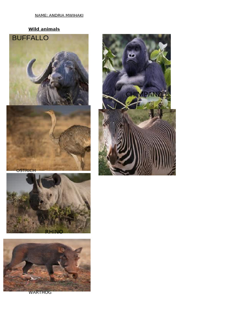 Wild Animals | PDF