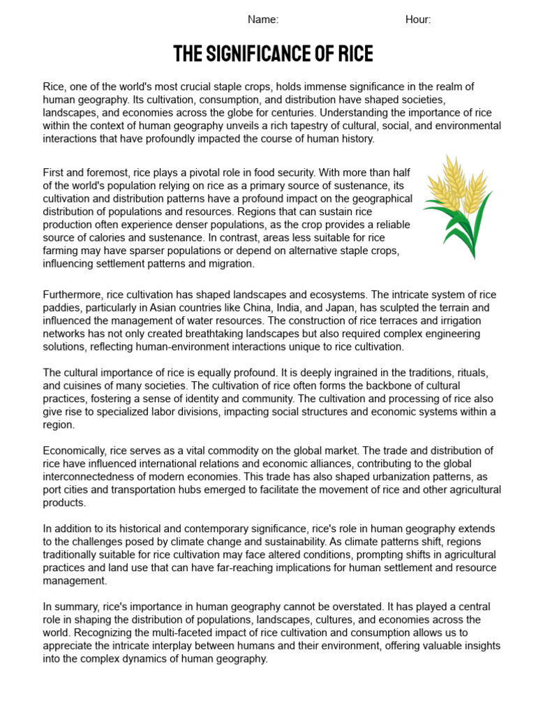 The Significance of Rice | PDF | Agriculture | Paddy Field