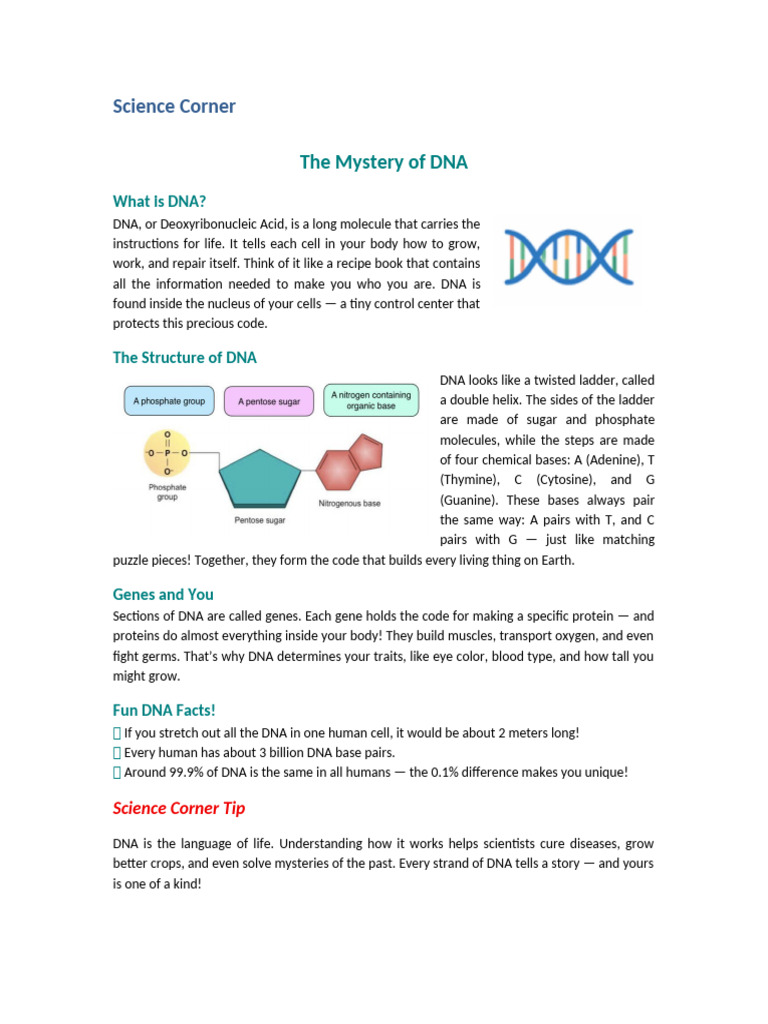 Understanding DNA: The Blueprint of Life | PDF