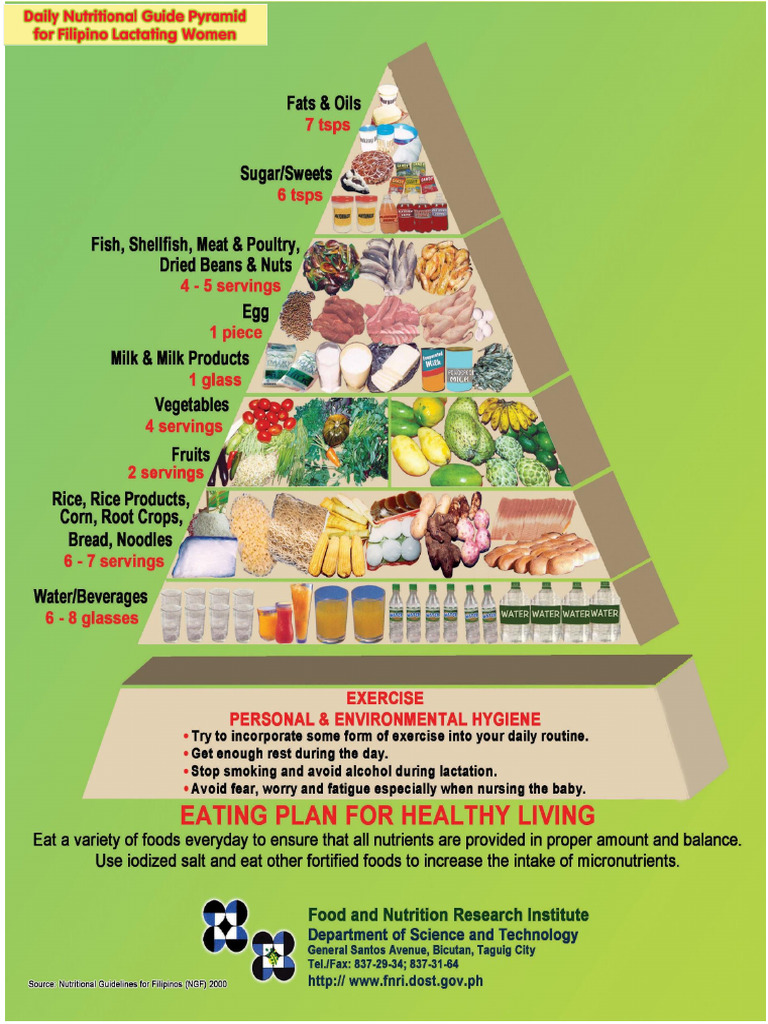 Food Pyramid | PDF