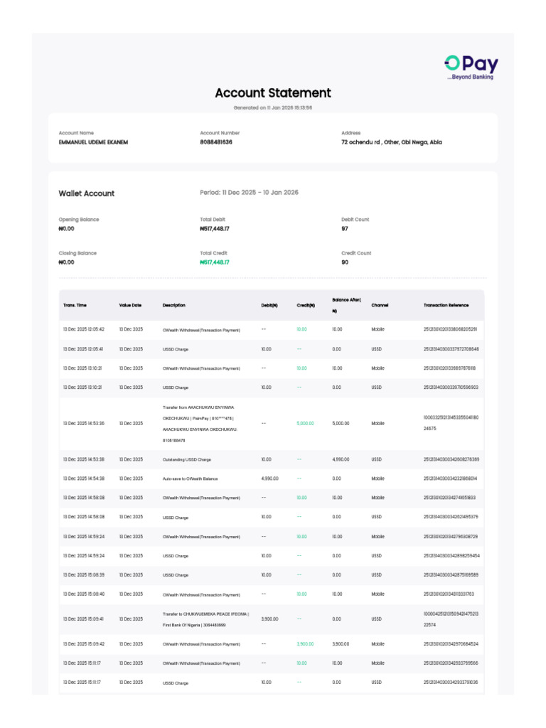 Wallet Account Statement Summary | PDF | Credit Card | Debits And Credits
