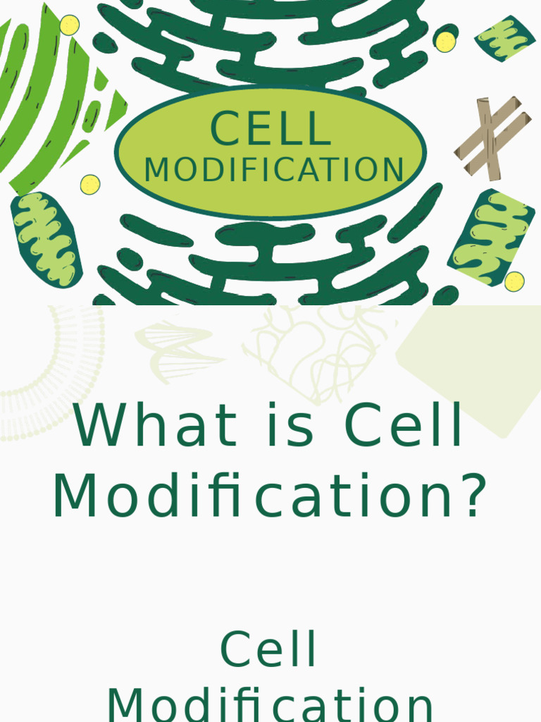 Understanding Cell Modification Types | PDF