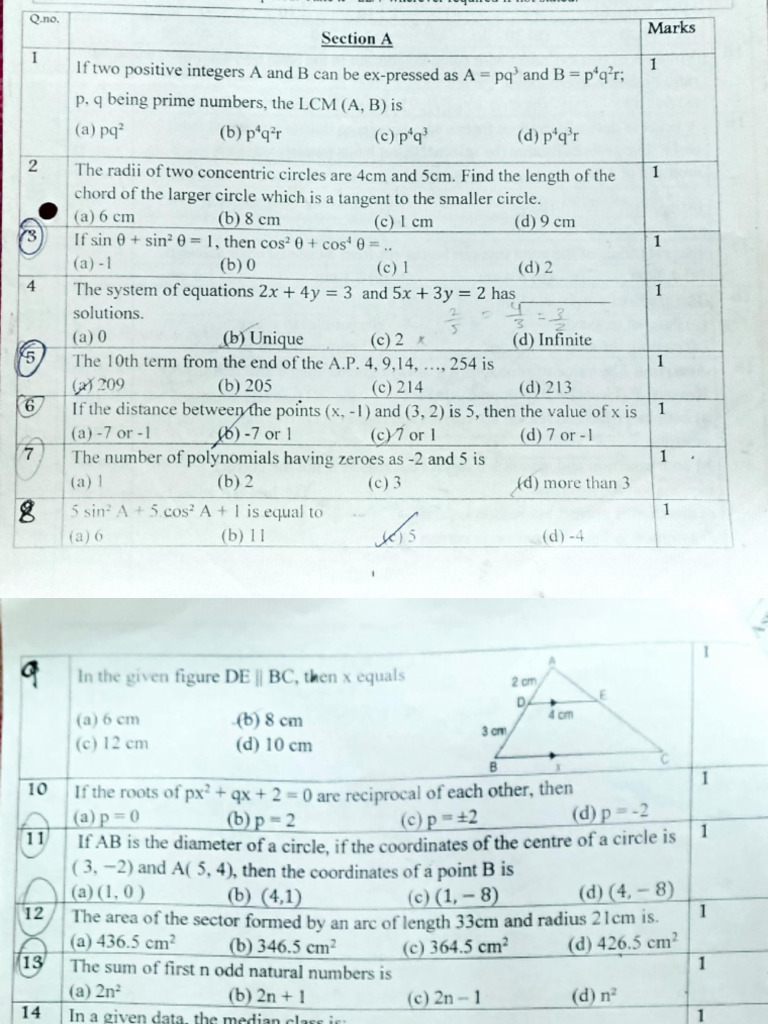 Math Problem Set with Solutions | PDF
