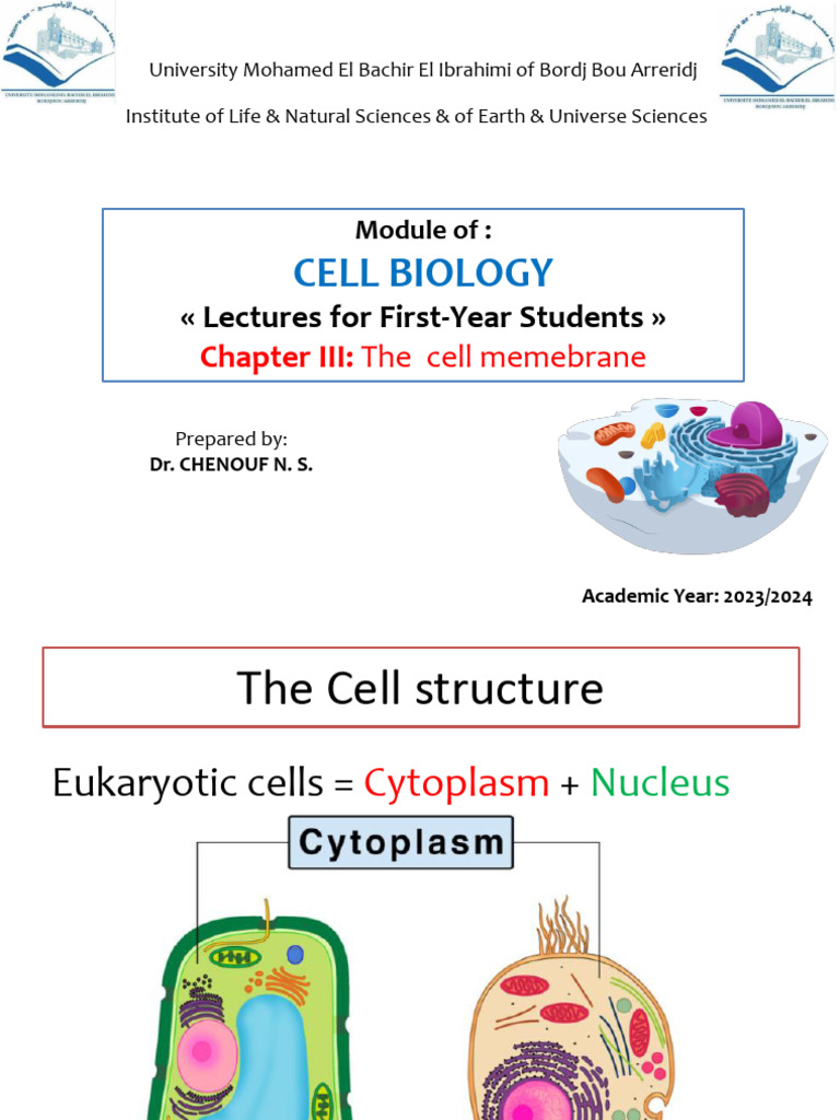 Cell Membrane Structure and Function | PDF | Cell Membrane | Cytoplasm