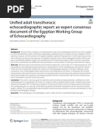 Critical Care Echocardiography Report Template | PDF