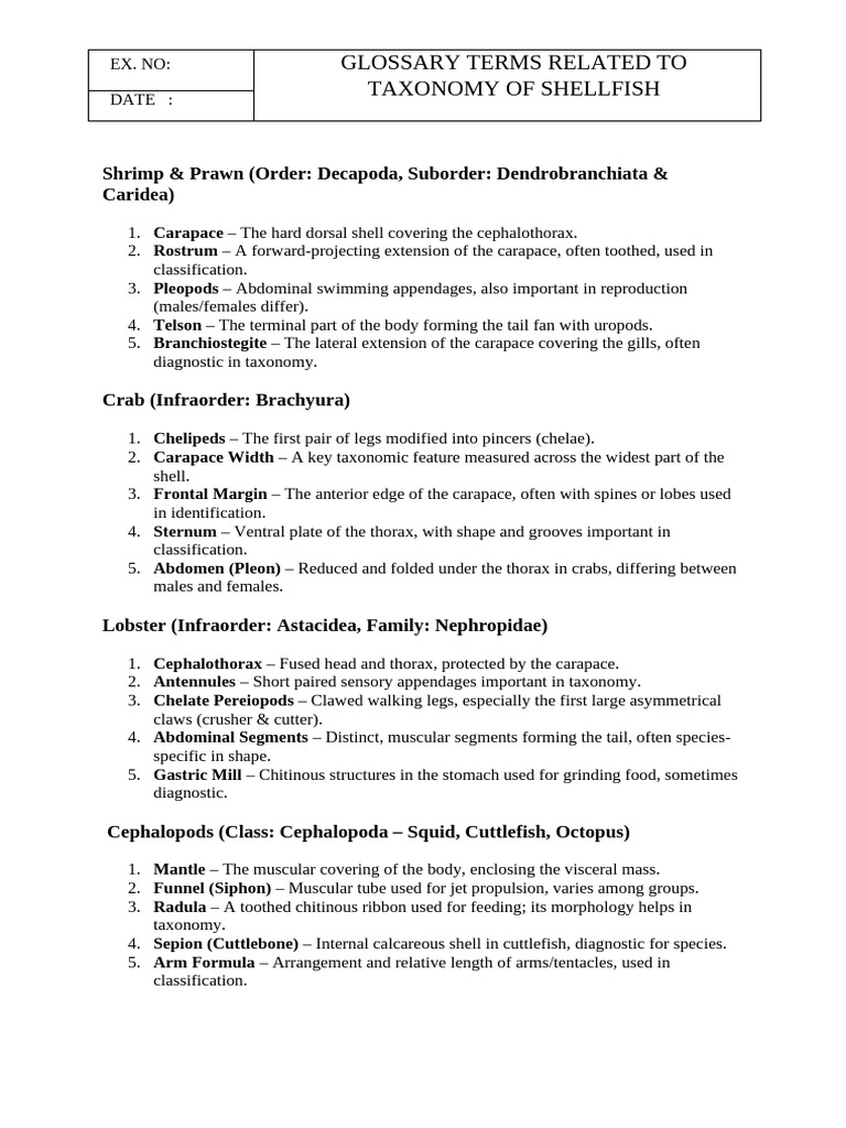 Shellfish Taxonomy Glossary Terms | PDF | Crab | Molluscs