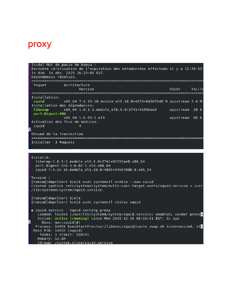 Proxy | PDF