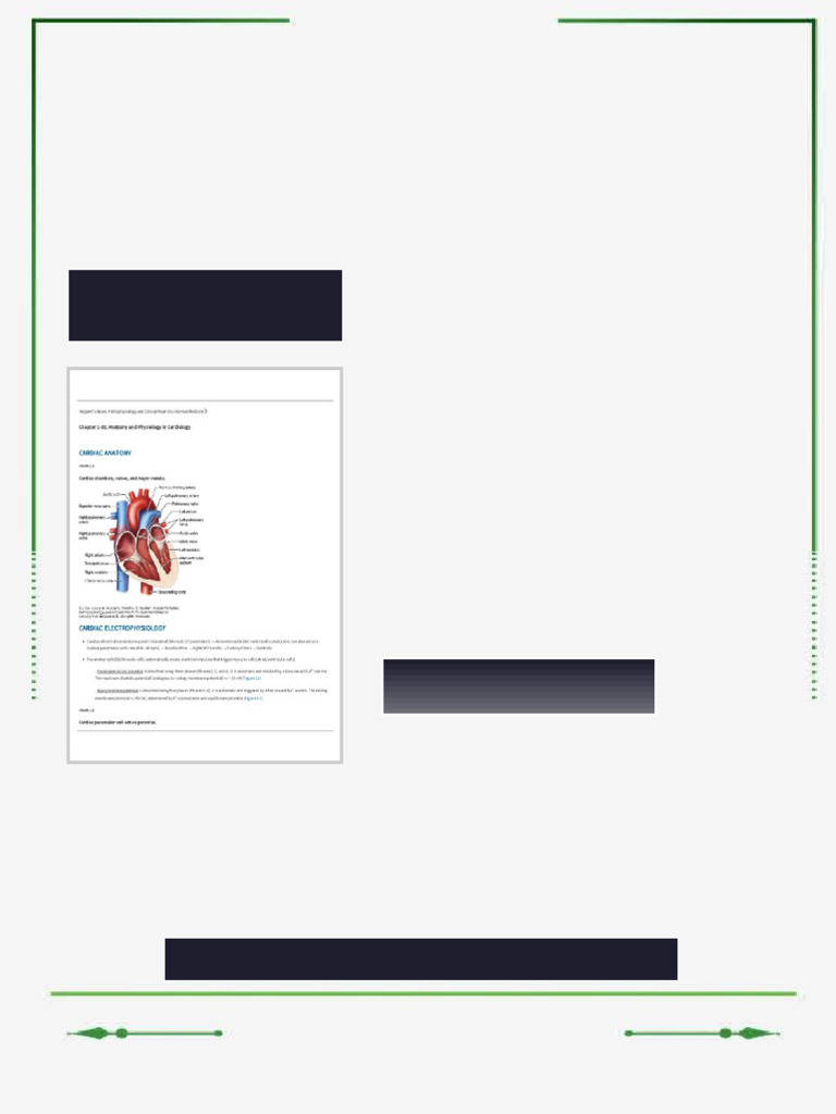 Huppert's Notes: Pathophysiology and Clinical Pearls for Internal ...
