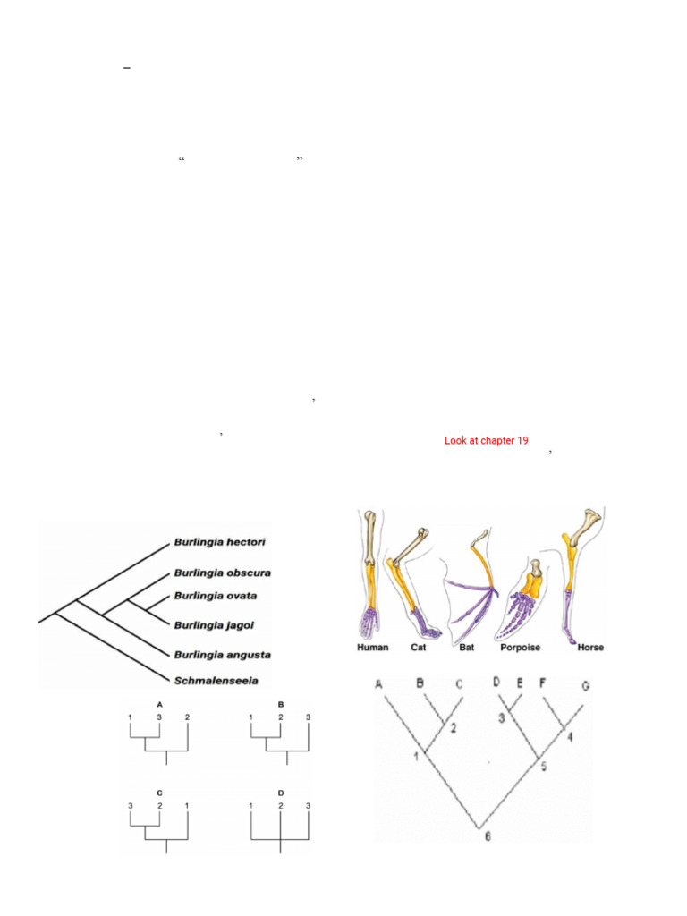 Key Concepts in Evolutionary Biology | PDF