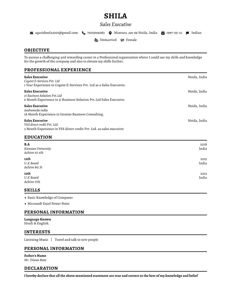 Sales Executive Resume for Shila | PDF