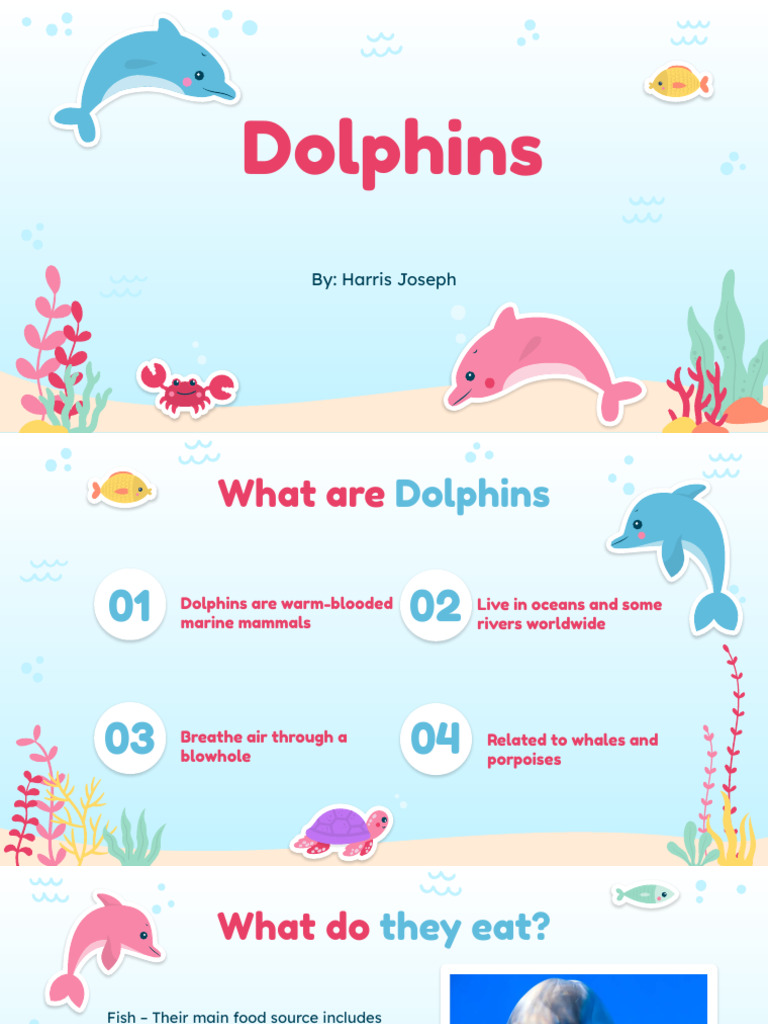 Dolphins | PDF | Dolphin | Cetacea