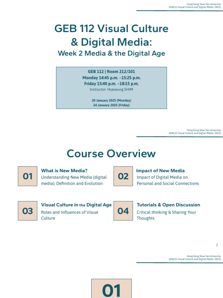 Visual Culture in the Digital Age | PDF | Mass Media | New Media