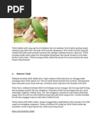 Download Pakan tokek by ryandisinfixtif SN98171735 doc pdf