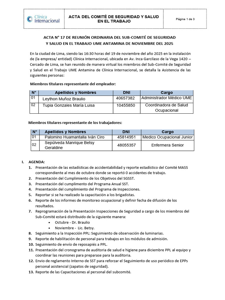 17va Acta Del Comité de Seguridad y Salud en El Trabajo 2025 | PDF ...