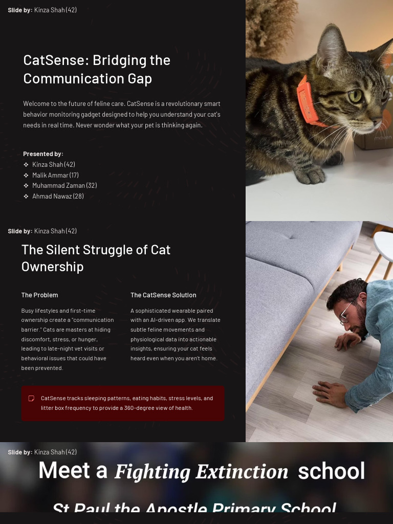 CatSense Bridging the Communication Gap (1) | PDF | Cats