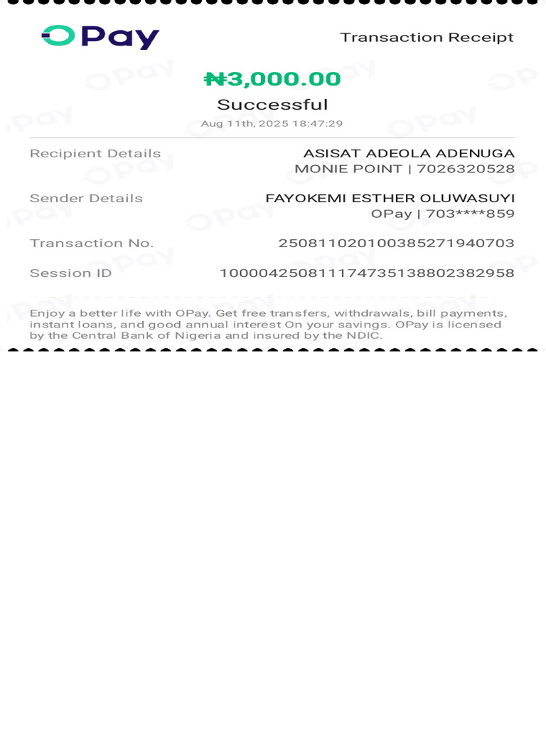 OPay Transaction Receipt - ₦3,000 Successful | PDF