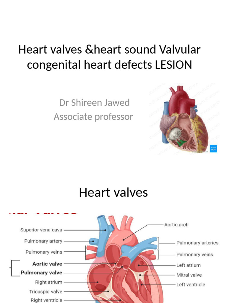 heartsound valvular heart disease 23 | PDF | Heart Valve | Heart