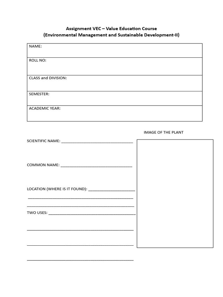 Assignment Vec (Fybcom) Sem II 2025-2026 | PDF
