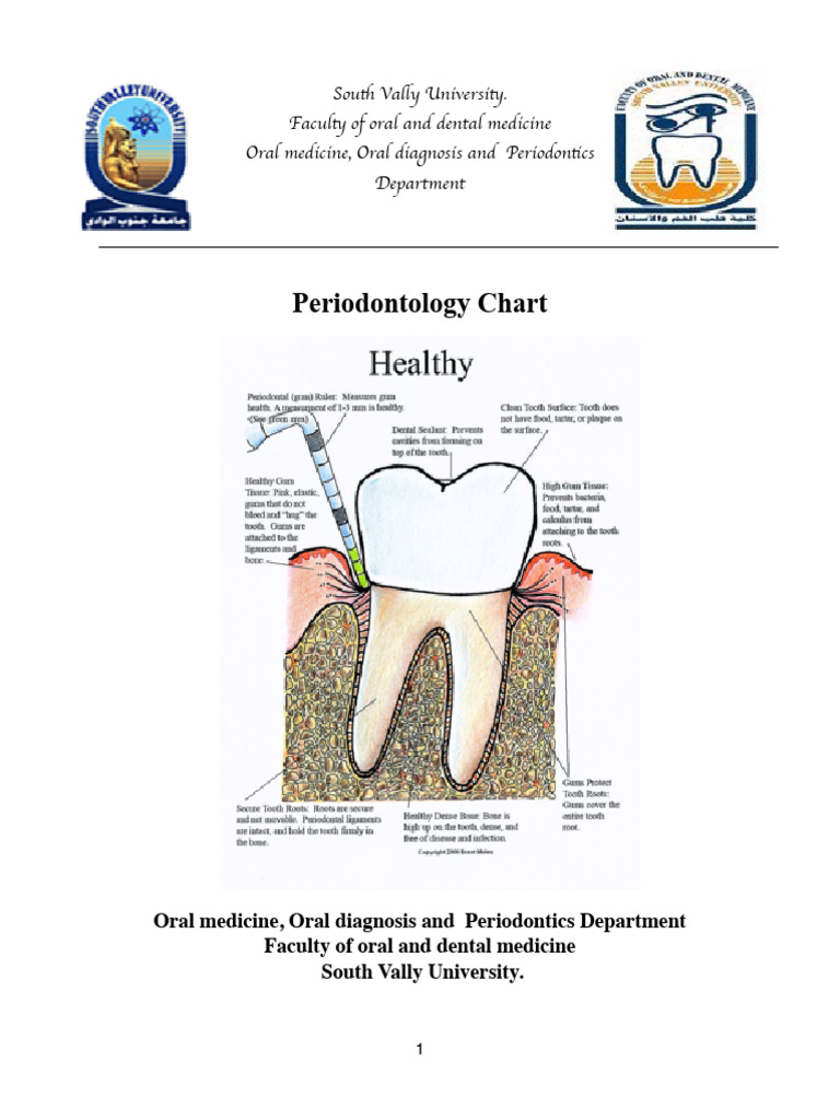 Periodontology Chart Overview | PDF