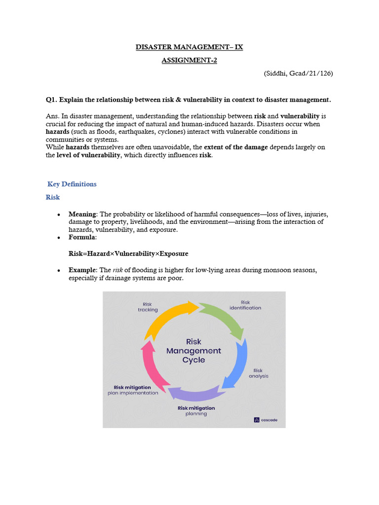 Risk and Vulnerability in Disaster Management | PDF | Natural Disasters ...