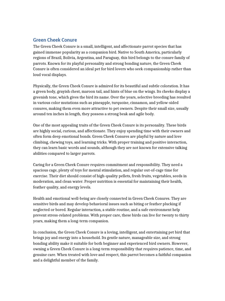 3000 Character Essay on Green Cheek Conure Canvas | PDF | Parrot | Birds