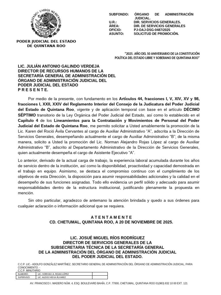 Solicitud de Promoción en Poder Judicial | PDF | Gobierno