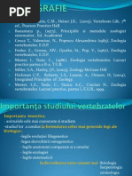 Download Curs 1 Vertebrate by Daniela Danitzu SN98180061 doc pdf