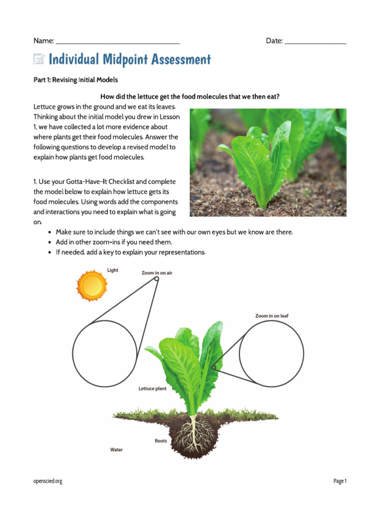 7.4 Lesson 8 Assessment Individual Midpoint Assessment | PDF | Carbon ...