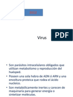 2 Virus