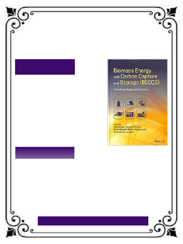 Biomass energy and carbon capture and storage (BECCS): unlocking ...