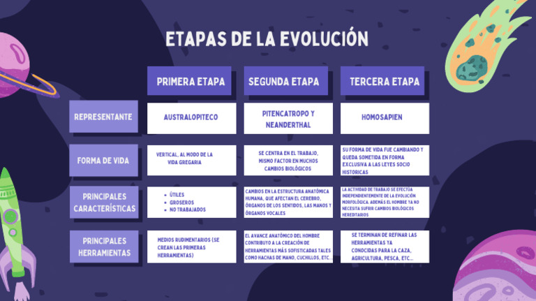 Etapas de la evolución humana | PDF