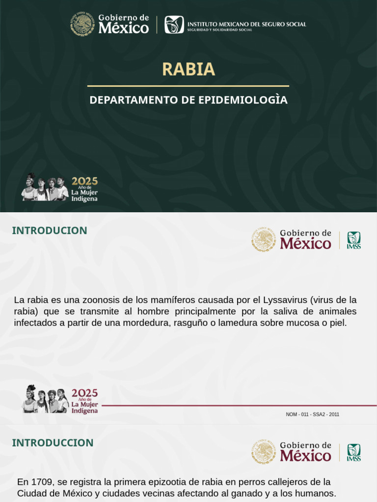 Rabia | PDF | Rabia | Enfermedades y trastornos