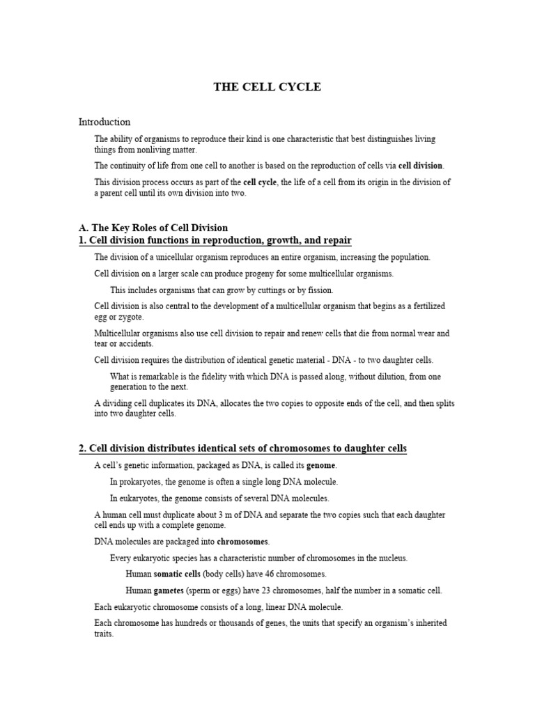 notes-_the_cell_cycle | PDF | Mitosis | Microtubule