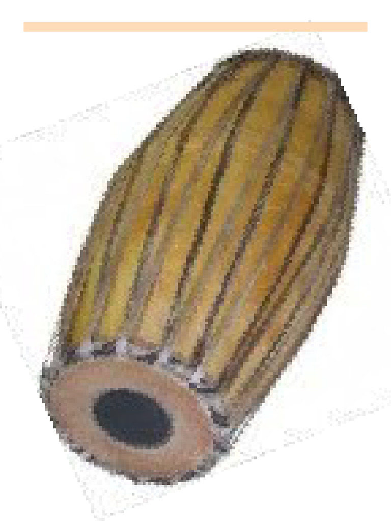 Indian Musical Instruments Gallery | PDF
