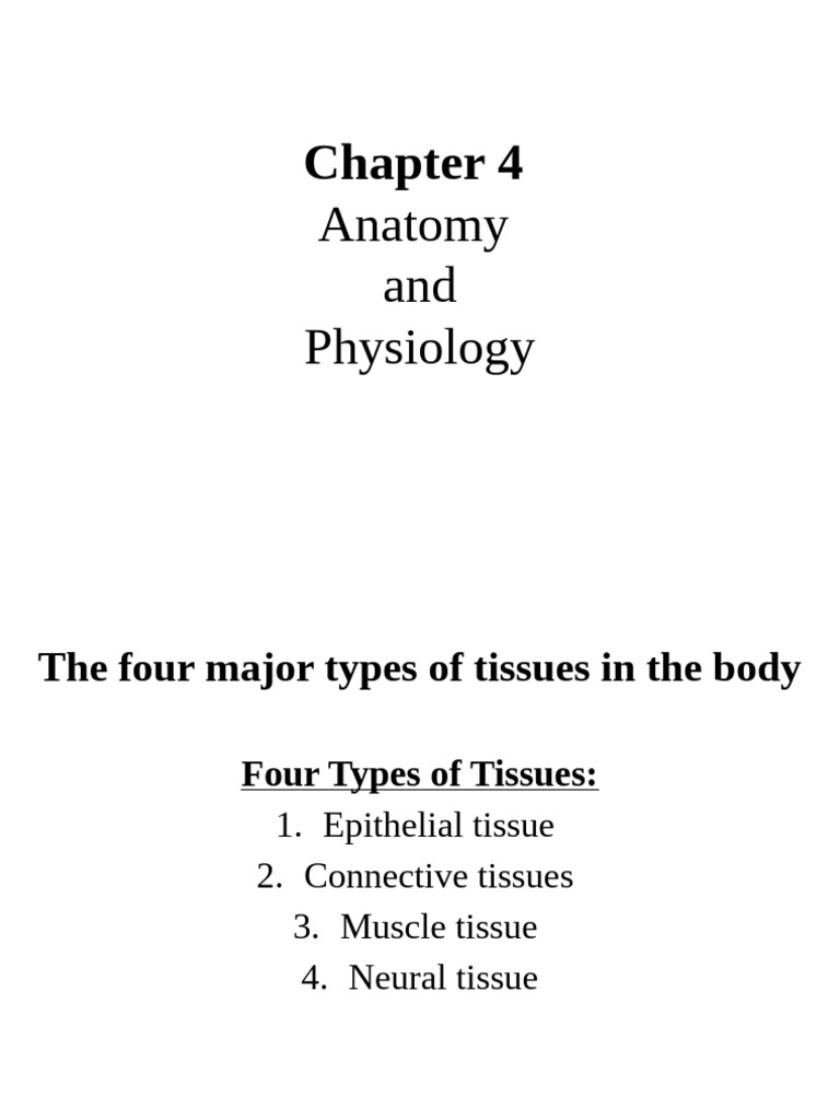 Chapter 4 - Anatomy and Physiology | PDF | Epithelium | Tissue (Biology)