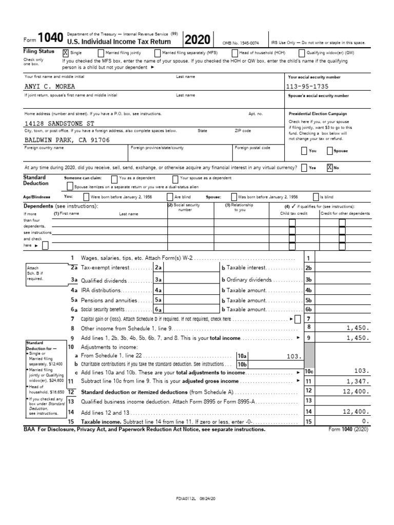 2020 IRS Form 1040 Instructions | PDF | Social Security (United States ...