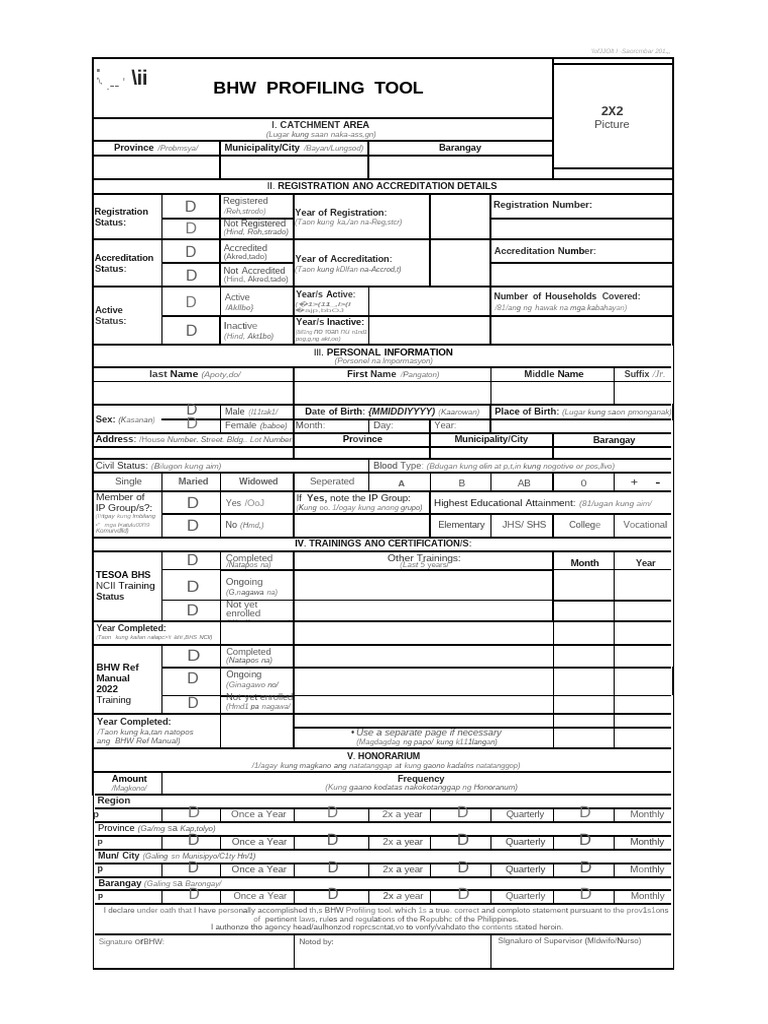 BHW Profiling Tool Template | PDF